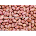 Chinese Round Peanut